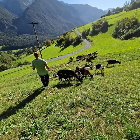 Ferienwohnung Auf Ziegenhof Alvaneu Buitenkant foto